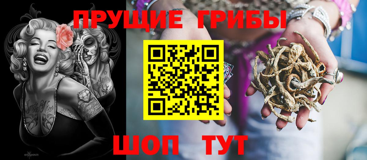 Псилоцибиновые грибы Psilocybe  Вход с VPN  Тольятти 